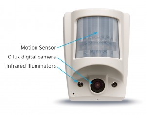 M: Motion Activated - Hidden CamerasSurveillance