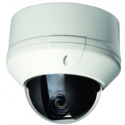 Grocery Store Dome Cameras like PTZ Cameras from Security Camera King.