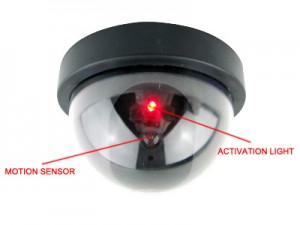 dummy surveillance cameras 