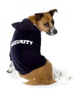 Environmentally Friendly Home Security Solutions