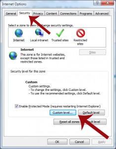 IE Security Custom Level Button