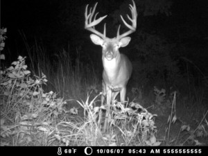 Night Time Game Camera