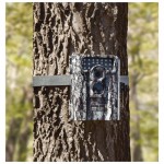 Game Camera on Tree