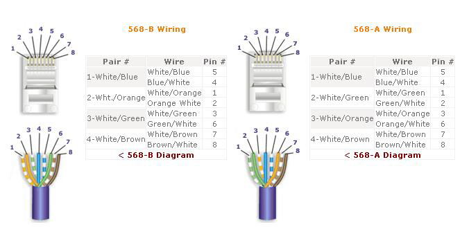 Diagram Cat 5 Wiring Diagram For Cctv Full Version Hd Quality For Cctv Jdiagram Fimaanapoli It