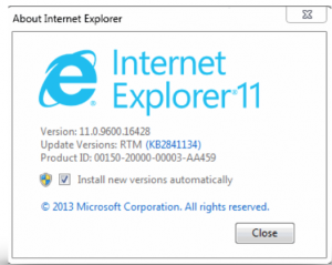 IE Version