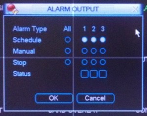 Alarm Output