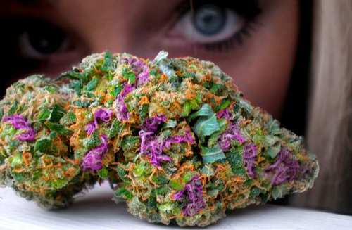 pretty-bud-pretty-eyes