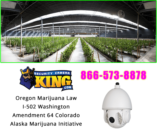 Cannabis Security Camera Compliance