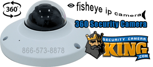 Fisheye IP Camera