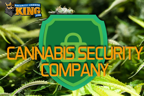 cannabis security companies