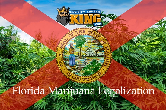 Florida Marijuana Legalization