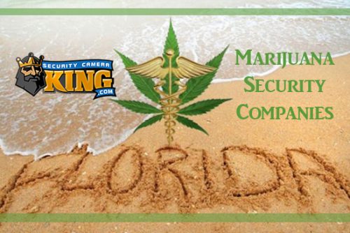 Marijuana Legalization in Florida