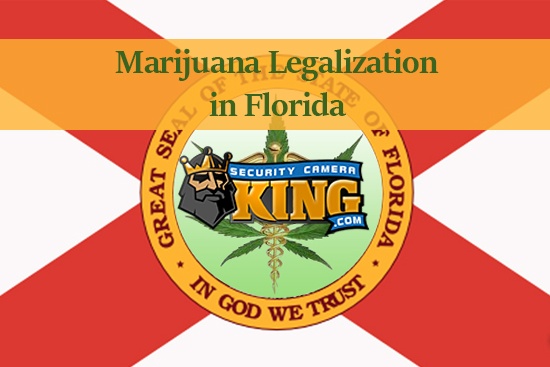 Marijuana Legalization in Florida