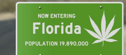 Legalization of Cannabis in Florida
