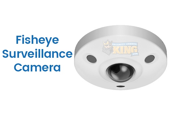 Fisheye Surveillance Camera