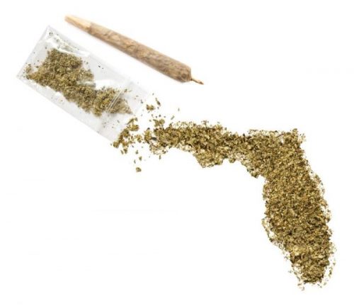 Florida Marijuana Laws