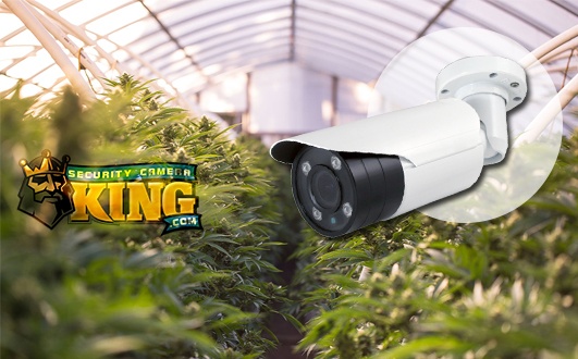 Marijuana Security Camera Systems