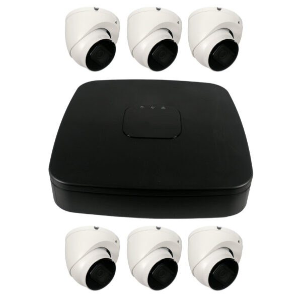 Complete Security System: 8-Channel Network Video Recorder (2TB) with 6 Eyeball Network Cameras (4MP) - Image 2