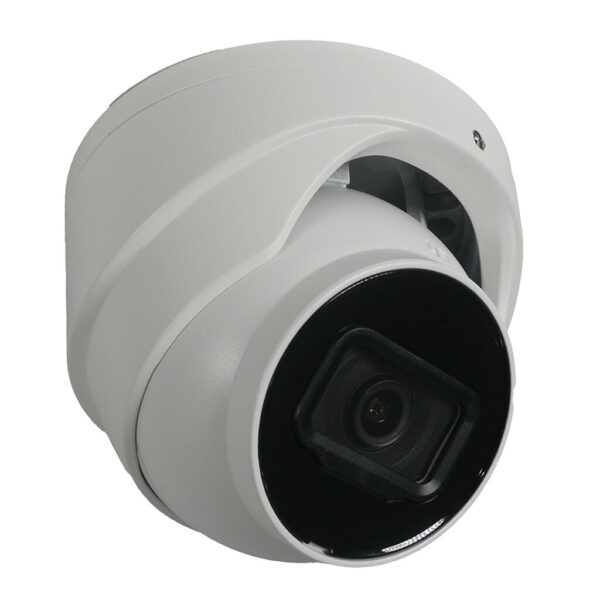 2MP IP Fixed Lens Eyeball Dome - Image 2